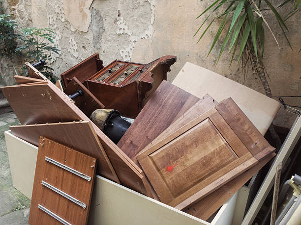 Best Professional Junk Removal  in Brazil, IN
